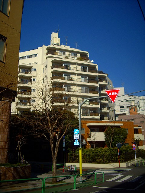2051画像