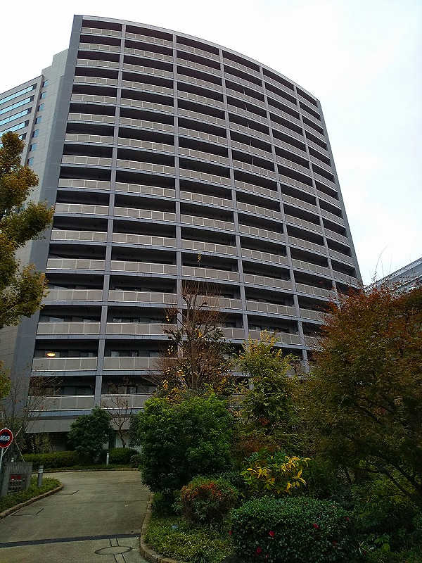5054画像